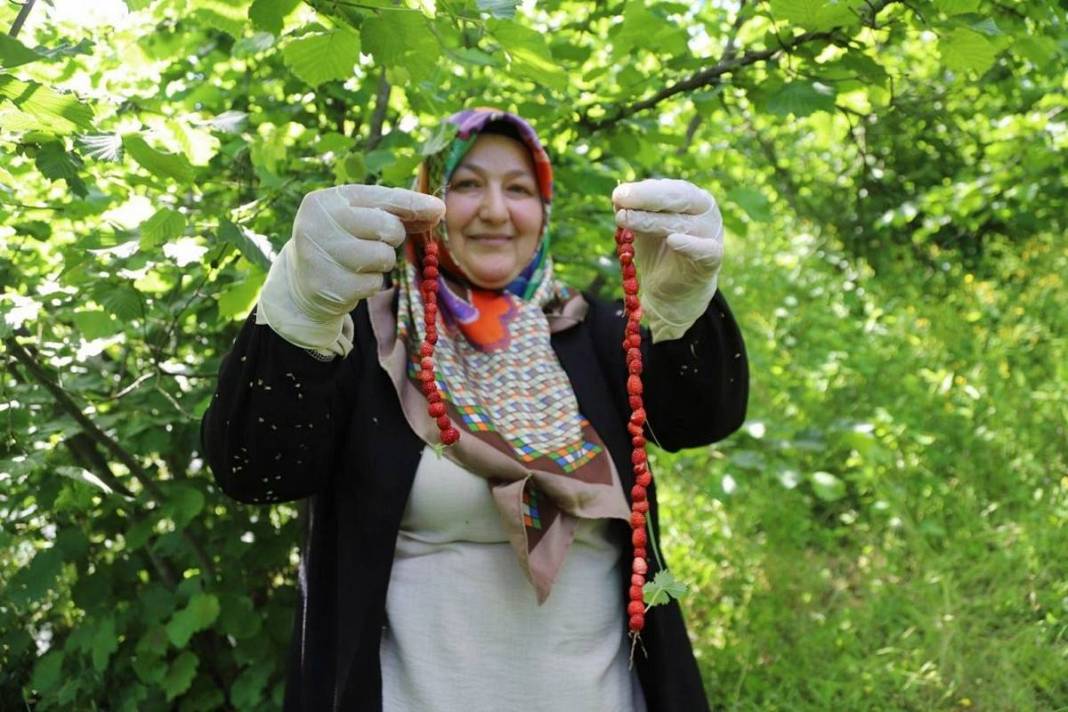 Kadınların gizli hazinesi gün yüzüne çıktı: Karadeniz'in lezzeti artık tescilli 4